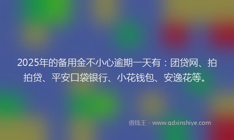 2025年的备用金不小心逾期一天有：团贷网、拍拍贷、平安口袋银行、小花钱包、安逸花等。