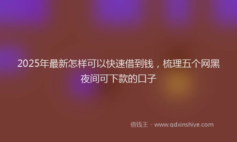 2025年最新怎样可以快速借到钱，梳理五个网黑夜间可下款的口子