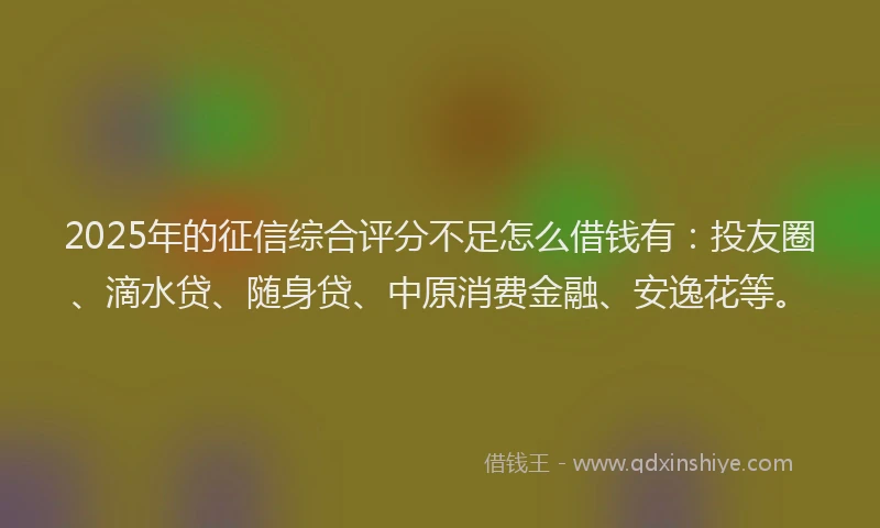 2025年的征信综合评分不足怎么借钱有：投友圈、滴水贷、随身贷、中原消费金融、安逸花等。