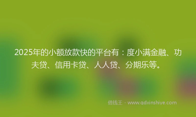 2025年的小额放款快的平台有：度小满金融、功夫贷、信用卡贷、人人贷、分期乐等。