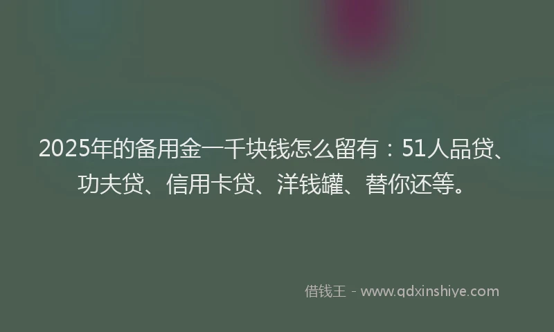 2025年的备用金一千块钱怎么留有：51人品贷、功夫贷、信用卡贷、洋钱罐、替你还等。