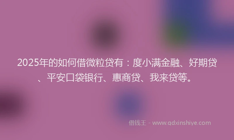 2025年的如何借微粒贷有：度小满金融、好期贷、平安口袋银行、惠商贷、我来贷等。
