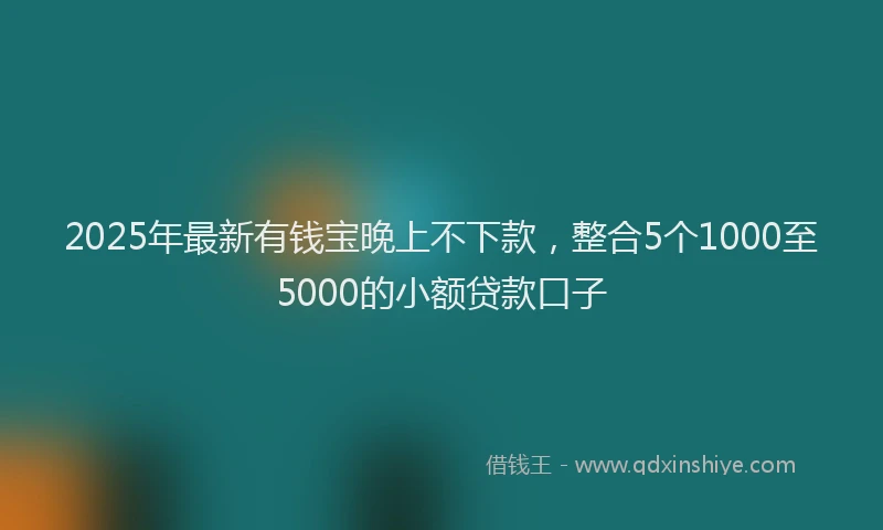 2025年最新有钱宝晚上不下款，整合5个1000至5000的小额贷款口子
