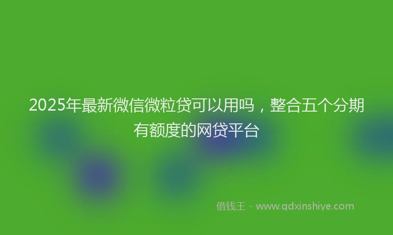 2025年最新微信微粒贷可以用吗，整合五个分期有额度的网贷平台