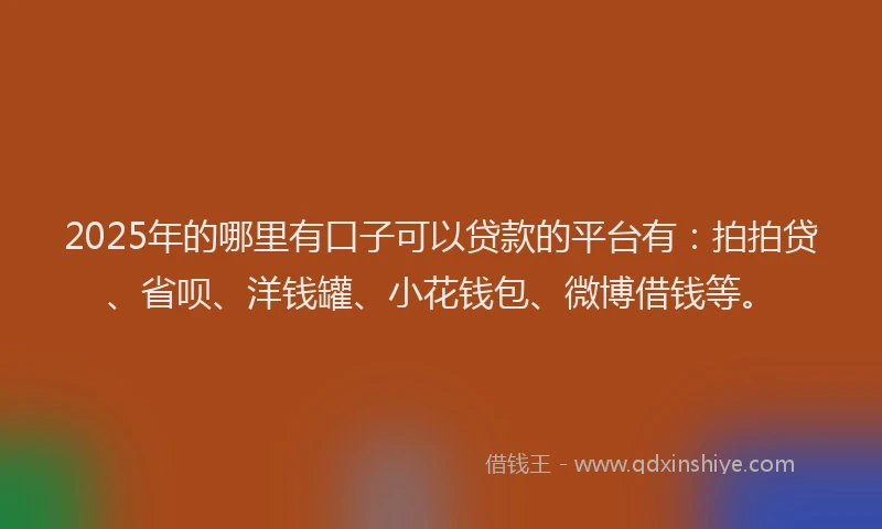 2025年的哪里有口子可以贷款的平台有：拍拍贷、省呗、洋钱罐、小花钱包、微博借钱等。