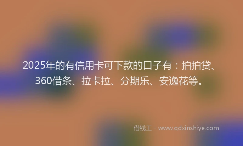2025年的有信用卡可下款的口子有：拍拍贷、360借条、拉卡拉、分期乐、安逸花等。