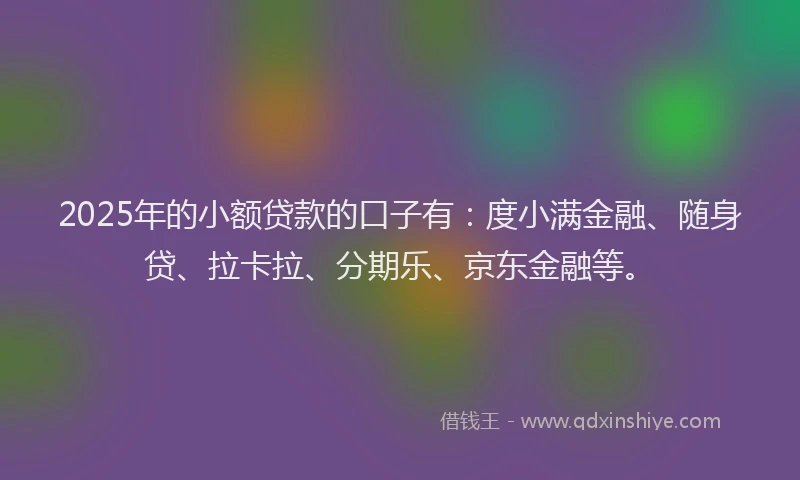 2025年的小额贷款的口子有：度小满金融、随身贷、拉卡拉、分期乐、京东金融等。