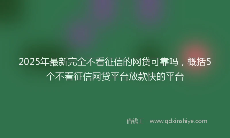 2025年最新完全不看征信的网贷可靠吗，概括5个不看征信网贷平台放款快的平台