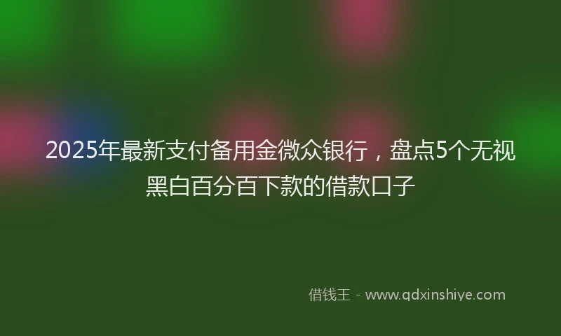 2025年最新支付备用金微众银行，盘点5个无视黑白百分百下款的借款口子