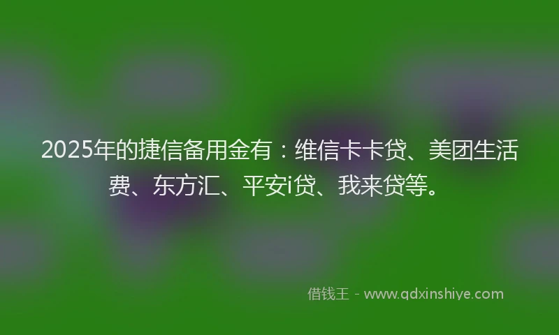 2025年的捷信备用金有：维信卡卡贷、美团生活费、东方汇、平安i贷、我来贷等。