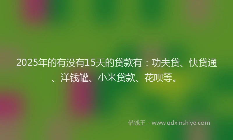 2025年的有没有15天的贷款有：功夫贷、快贷通、洋钱罐、小米贷款、花呗等。