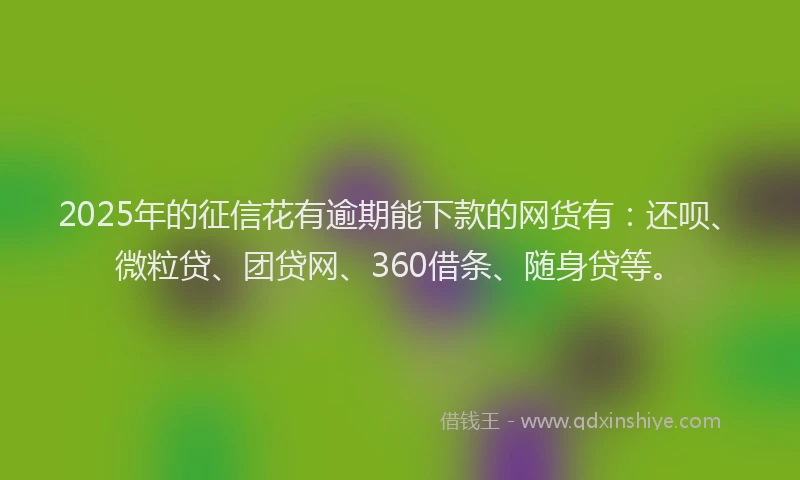 2025年的征信花有逾期能下款的网货有：还呗、微粒贷、团贷网、360借条、随身贷等。