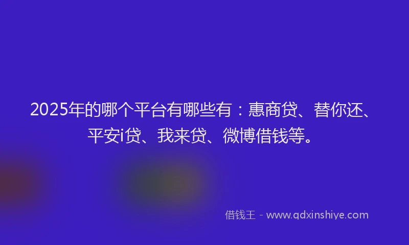 2025年的哪个平台有哪些有：惠商贷、替你还、平安i贷、我来贷、微博借钱等。