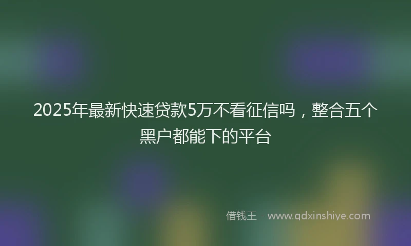 2025年最新快速贷款5万不看征信吗，整合五个黑户都能下的平台