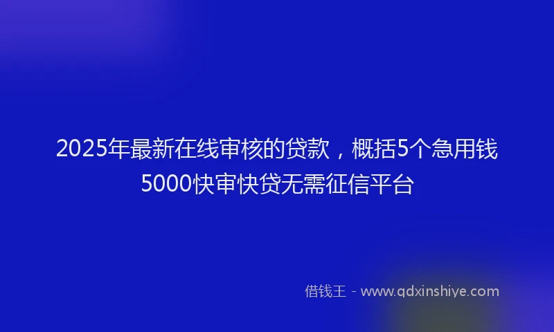 2025年最新在线审核的贷款，概括5个急用钱5000快审快贷无需征信平台