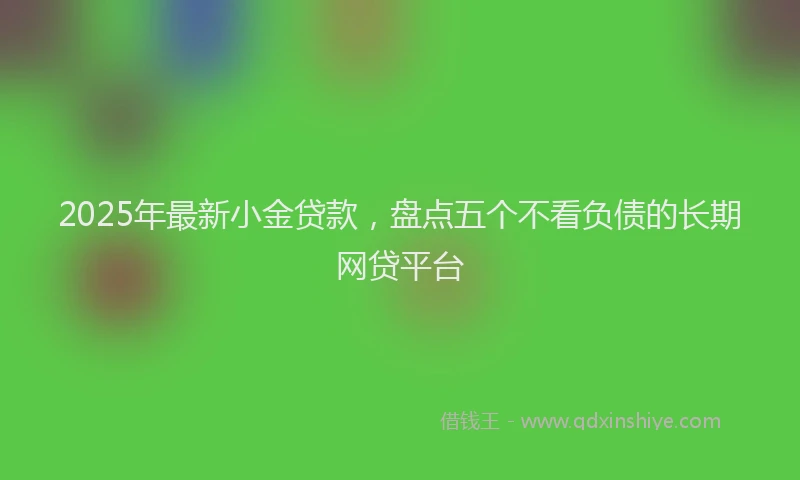 2025年最新小金贷款，盘点五个不看负债的长期网贷平台