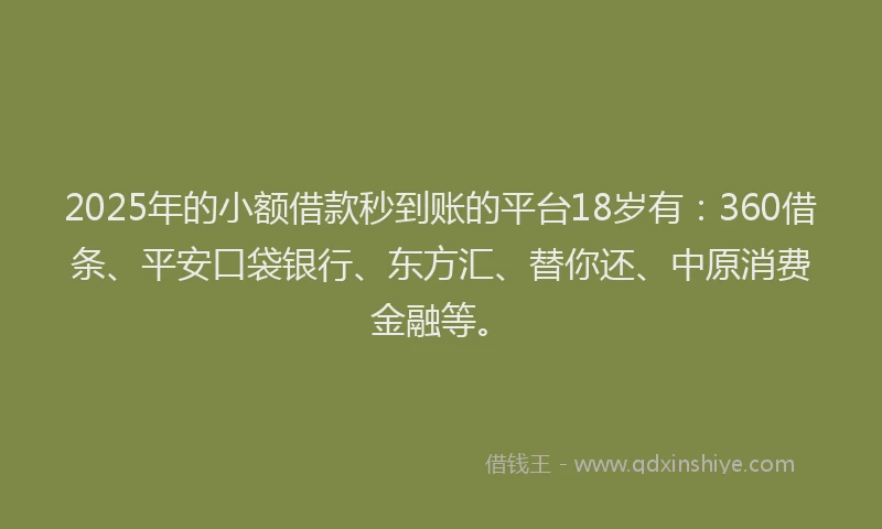 2025年的小额借款秒到账的平台18岁有：360借条、平安口袋银行、东方汇、替你还、中原消费金融等。