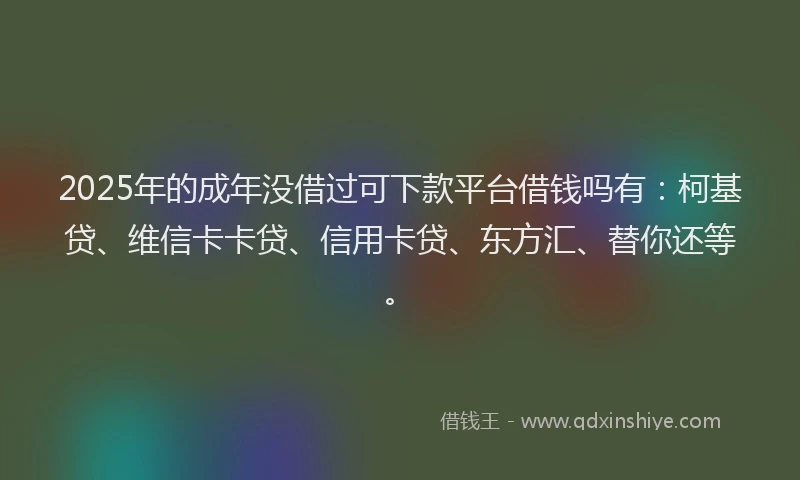 2025年的成年没借过可下款平台借钱吗有：柯基贷、维信卡卡贷、信用卡贷、东方汇、替你还等。