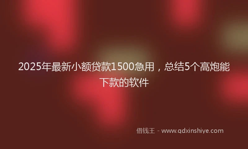 2025年最新小额贷款1500急用，总结5个高炮能下款的软件