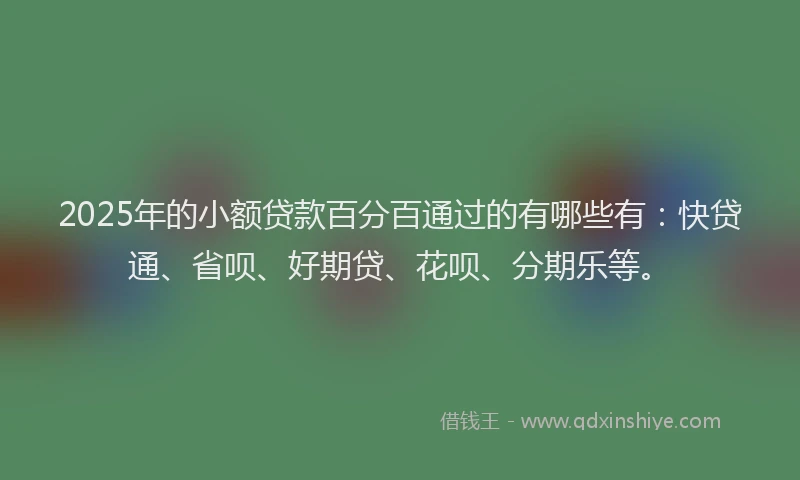 2025年的小额贷款百分百通过的有哪些有：快贷通、省呗、好期贷、花呗、分期乐等。