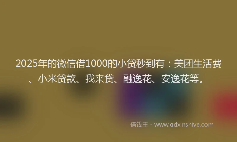 2025年的微信借1000的小贷秒到有：美团生活费、小米贷款、我来贷、融逸花、安逸花等。