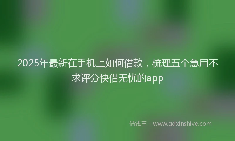 2025年最新在手机上如何借款，梳理五个急用不求评分快借无忧的app