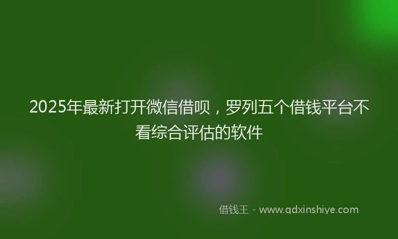 2025年最新打开微信借呗，罗列五个借钱平台不看综合评估的软件