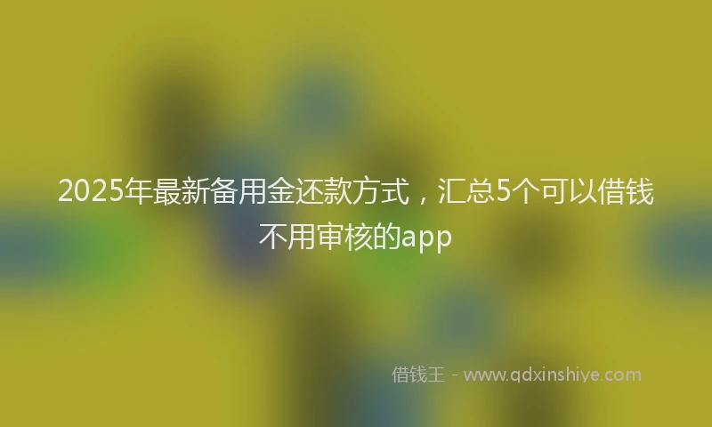 2025年最新备用金还款方式，汇总5个可以借钱不用审核的app