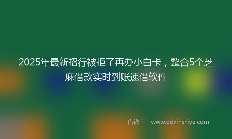 2025年最新招行被拒了再办小白卡，整合5个芝麻借款实时到账速借软件