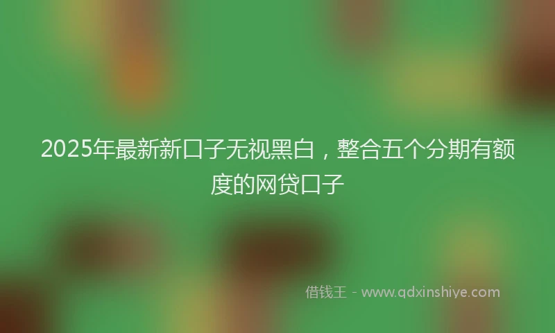 2025年最新新口子无视黑白，整合五个分期有额度的网贷口子