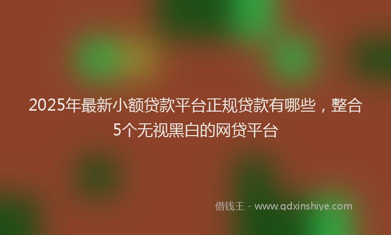 2025年最新小额贷款平台正规贷款有哪些，整合5个无视黑白的网贷平台