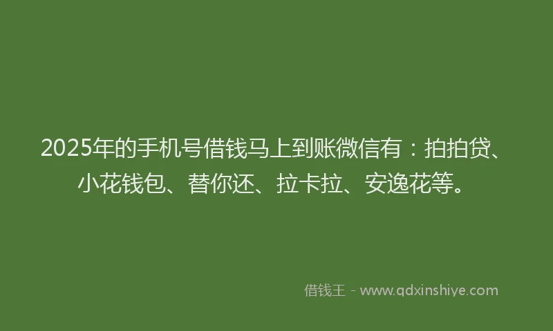 2025年的手机号借钱马上到账微信有：拍拍贷、小花钱包、替你还、拉卡拉、安逸花等。