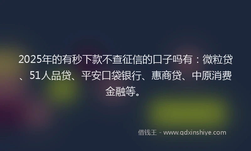 2025年的有秒下款不查征信的口子吗有：微粒贷、51人品贷、平安口袋银行、惠商贷、中原消费金融等。