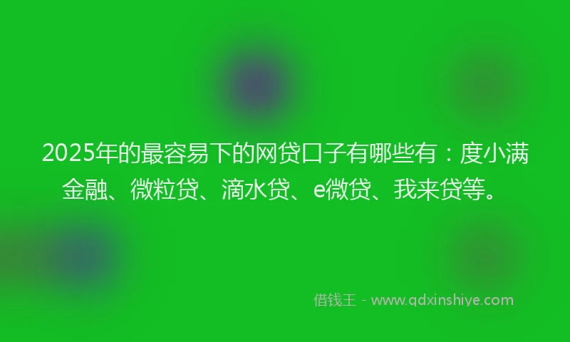2025年的最容易下的网贷口子有哪些有：度小满金融、微粒贷、滴水贷、e微贷、我来贷等。