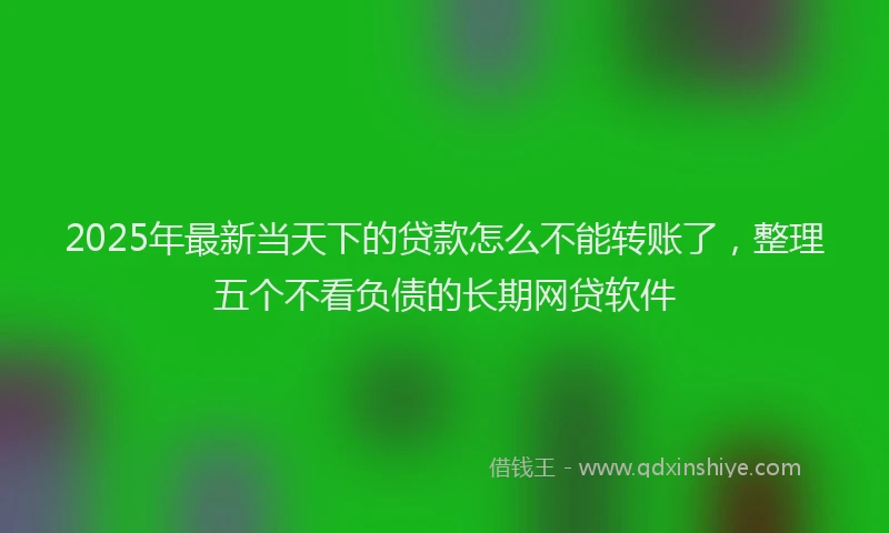 2025年最新当天下的贷款怎么不能转账了，整理五个不看负债的长期网贷软件