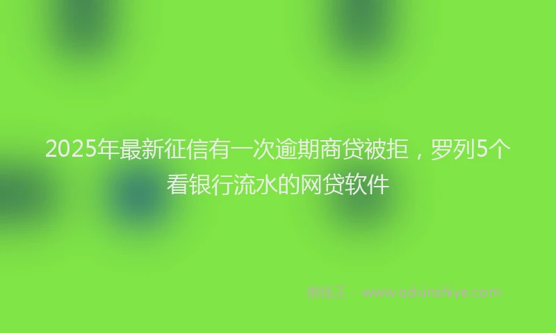2025年最新征信有一次逾期商贷被拒，罗列5个看银行流水的网贷软件