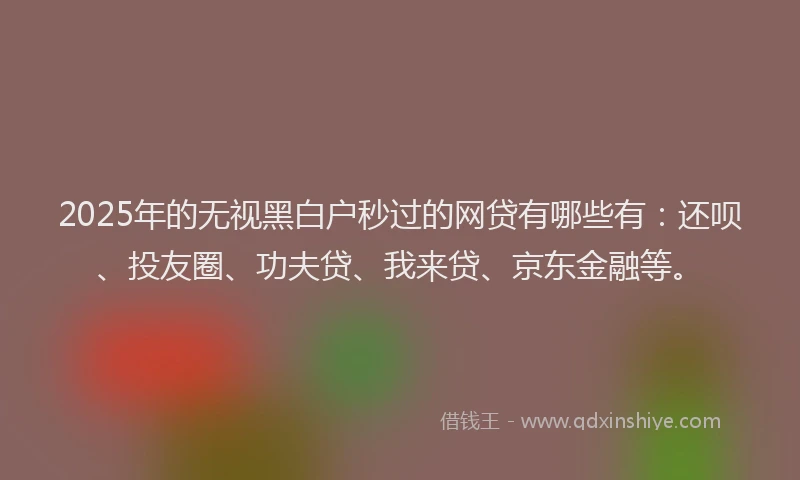 2025年的无视黑白户秒过的网贷有哪些有：还呗、投友圈、功夫贷、我来贷、京东金融等。