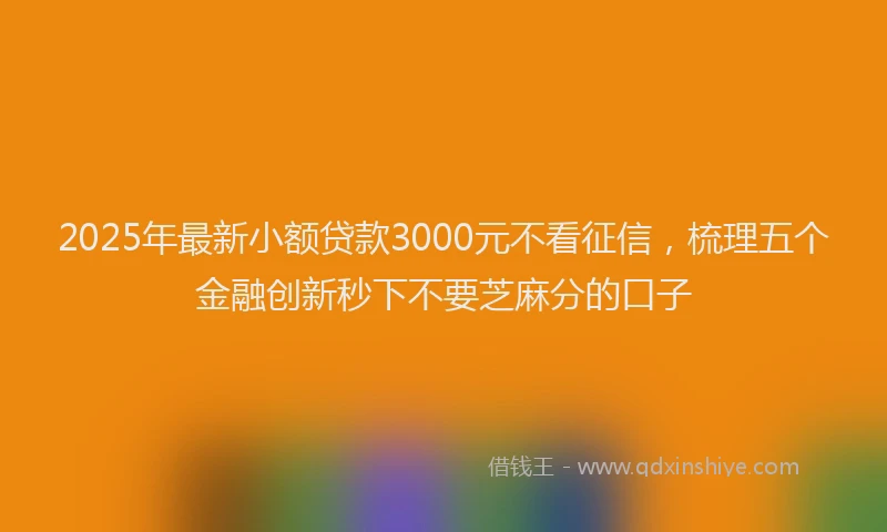 2025年最新小额贷款3000元不看征信，梳理五个金融创新秒下不要芝麻分的口子