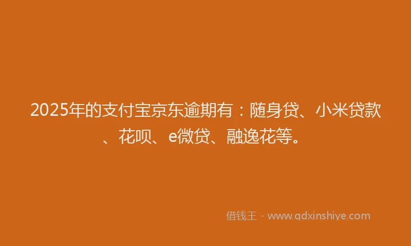 2025年的支付宝京东逾期有：随身贷、小米贷款、花呗、e微贷、融逸花等。