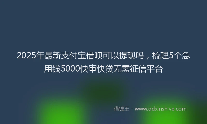 2025年最新支付宝借呗可以提现吗，梳理5个急用钱5000快审快贷无需征信平台