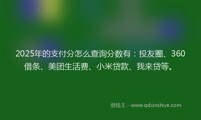 2025年的支付分怎么查询分数有：投友圈、360借条、美团生活费、小米贷款、我来贷等。