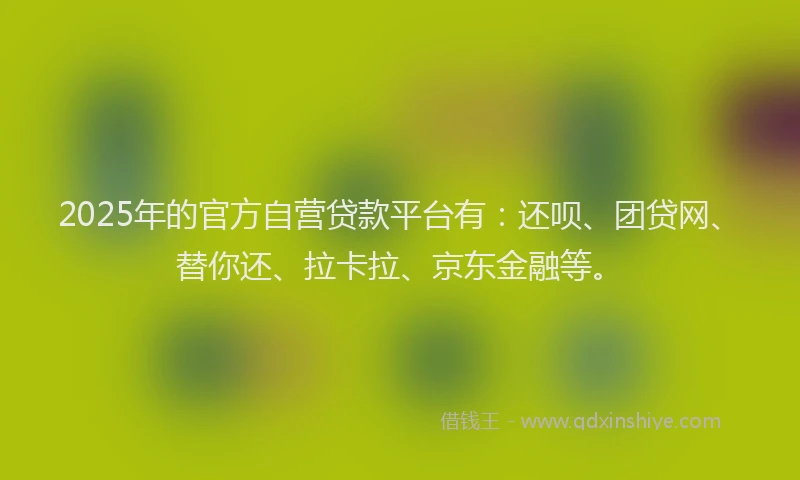 2025年的官方自营贷款平台有：还呗、团贷网、替你还、拉卡拉、京东金融等。