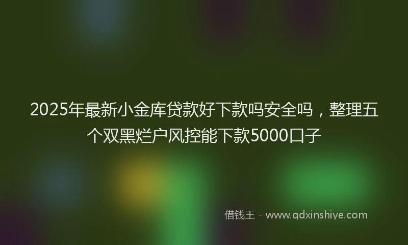 2025年最新小金库贷款好下款吗安全吗，整理五个双黑烂户风控能下款5000口子