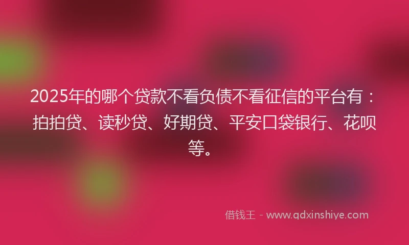 2025年的哪个贷款不看负债不看征信的平台有：拍拍贷、读秒贷、好期贷、平安口袋银行、花呗等。