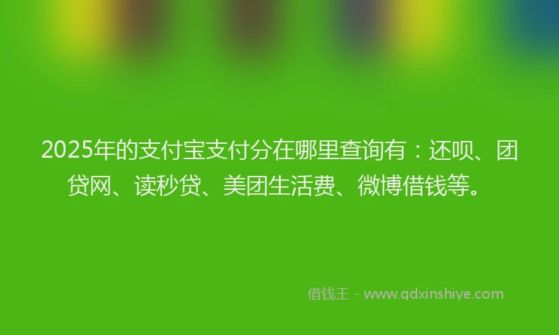 2025年的支付宝支付分在哪里查询有：还呗、团贷网、读秒贷、美团生活费、微博借钱等。
