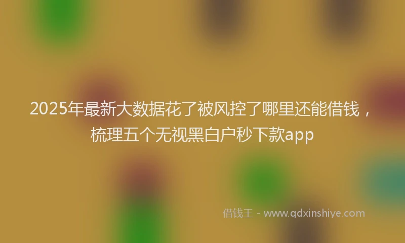2025年最新大数据花了被风控了哪里还能借钱，梳理五个无视黑白户秒下款app