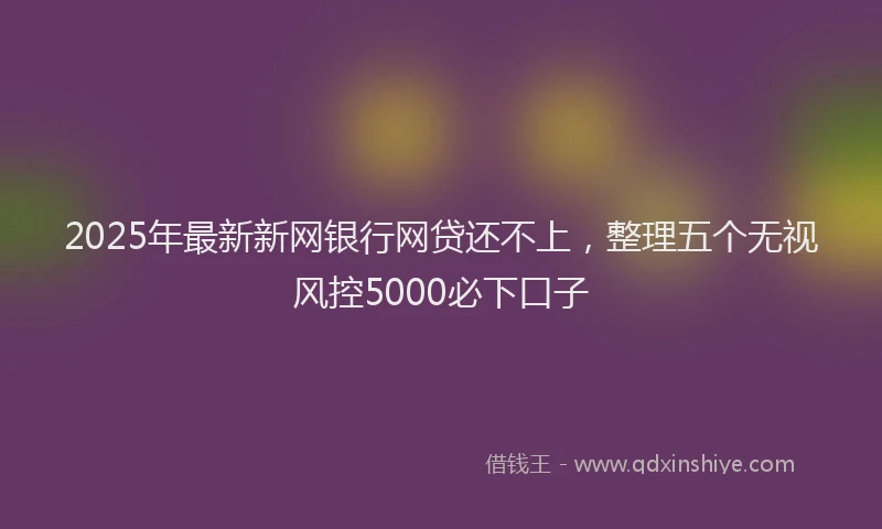 2025年最新新网银行网贷还不上，整理五个无视风控5000必下口子