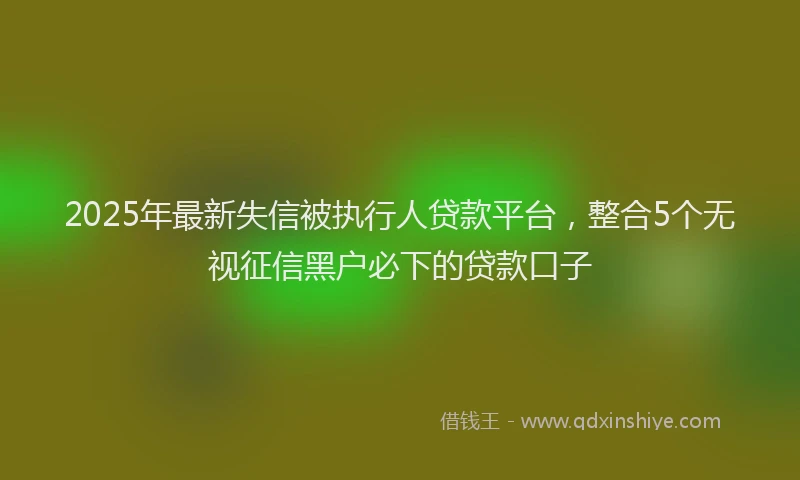 2025年最新失信被执行人贷款平台，整合5个无视征信黑户必下的贷款口子