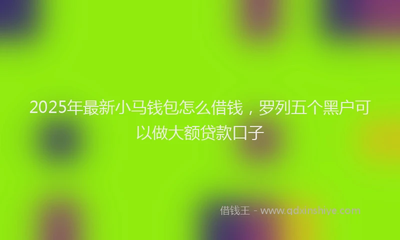 2025年最新小马钱包怎么借钱，罗列五个黑户可以做大额贷款口子