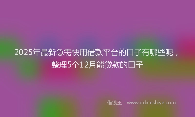 2025年最新急需快用借款平台的口子有哪些呢，整理5个12月能贷款的口子